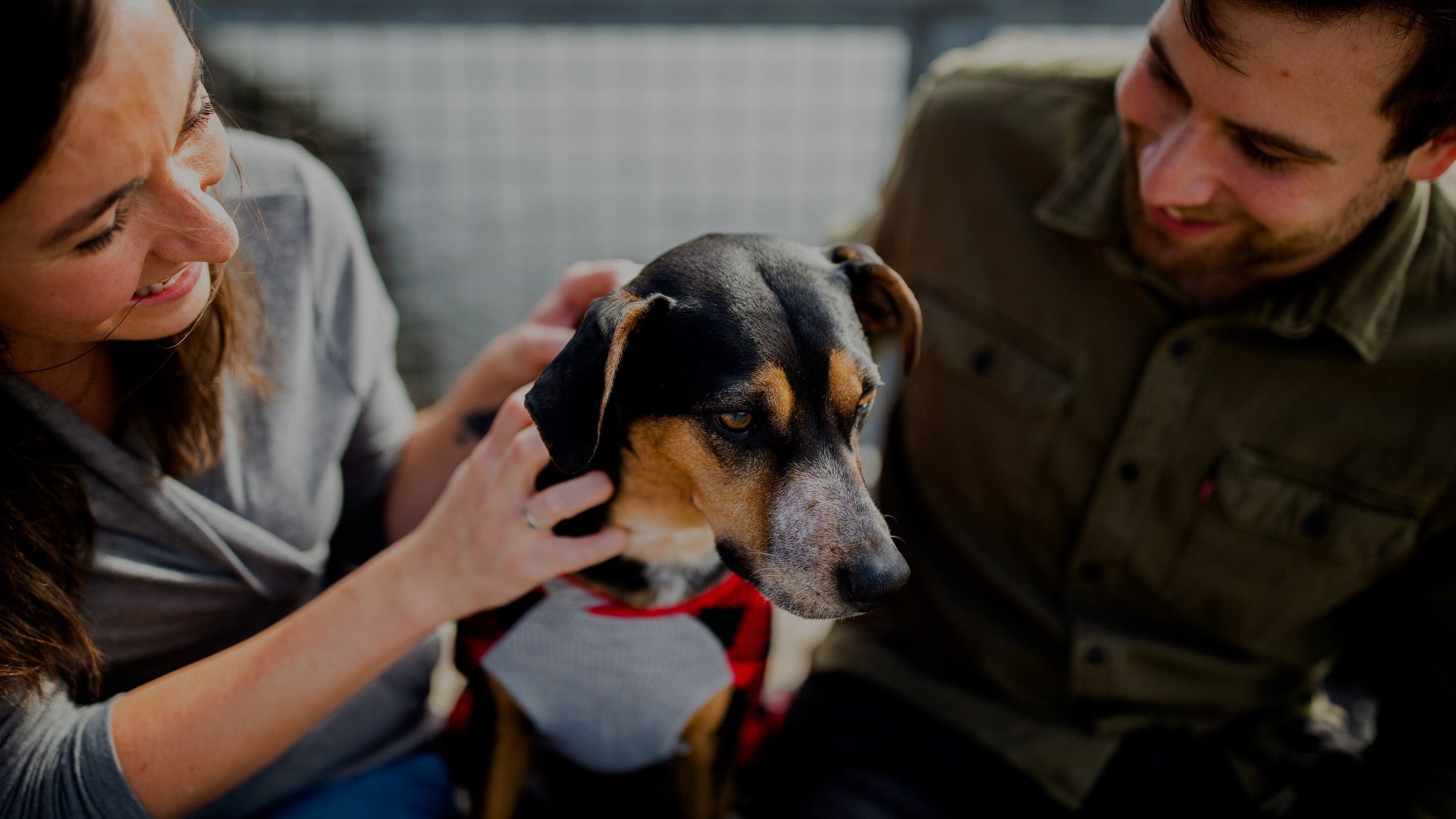 The Evolving Landscape of Pet Ownership in the U.S.